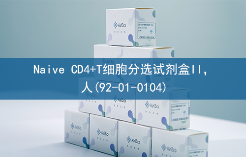 Naive CD4+T细胞分选试剂盒II，人(92-01-0104)