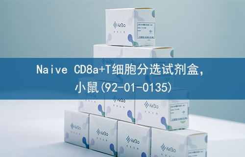 Naive CD8a+T细胞分选试剂盒，小鼠(92-01-0135)