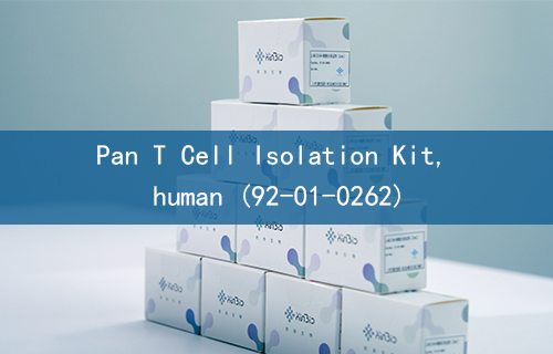 Pan T Cell Isolation Kit, human (92-01-0262)