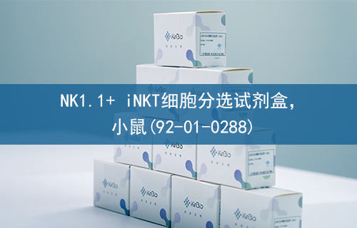 NK1.1+ iNKT细胞分选试剂盒，小鼠(92-01-0288)