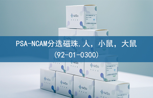 PSA-NCAM分选磁珠,人，小鼠，大鼠(92-01-0300)