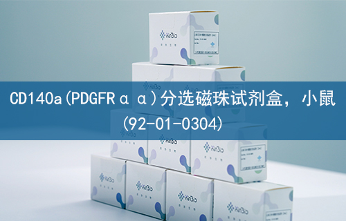 CD140a(PDGFRαα)分选磁珠试剂盒，小鼠(92-01-0304)