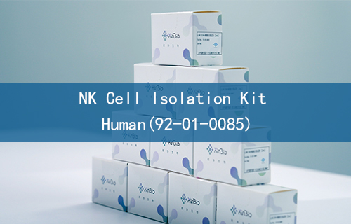 NK Cell Isolation Kit Human(92-01-0085)