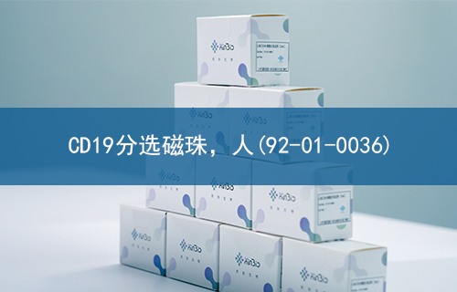 CD19分选磁珠，人(92-01-0036)