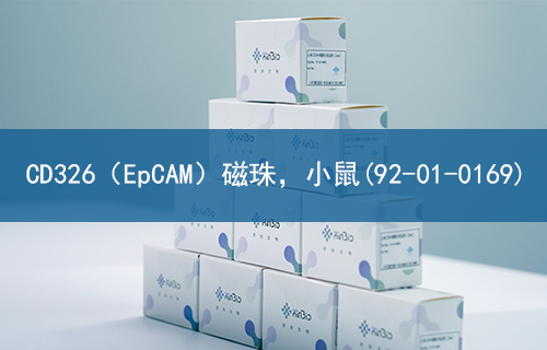 CD326（EpCAM）磁珠，小鼠(92-01-0169)