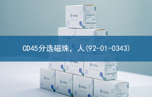 CD45分选磁珠，人(92-01-0343)