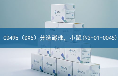 CD49b（DX5）分选磁珠，小鼠(92-01-0045)