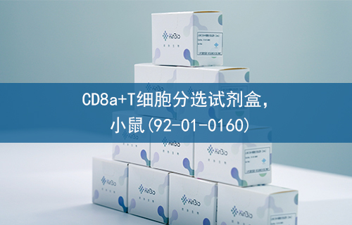 CD8a+T细胞分选试剂盒，小鼠(92-01-0160)