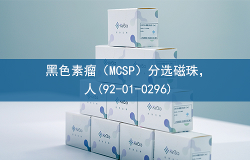 黑色素瘤（MCSP）分选磁珠，人(92-01-0296)