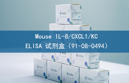 Mouse IL-8/CXCL1/KC ELISA 试剂盒（91-08-0494）