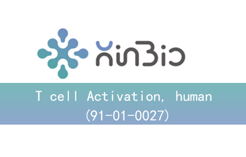 T cell Activation, human (91-01-0027)