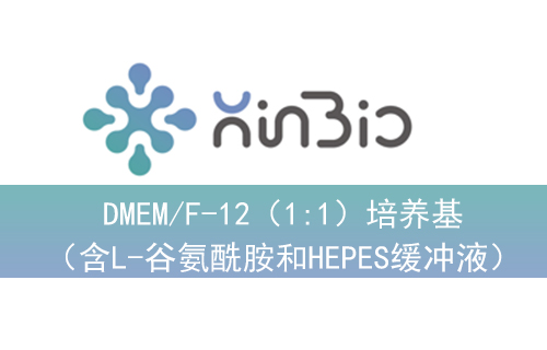 DMEM/F-12（1:1）培养基（含L-谷氨酰胺和HEPES缓冲液）