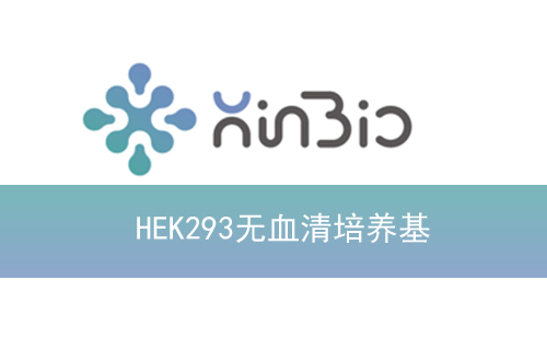 HEK293无血清培养基