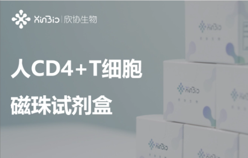 人CD4+T细胞磁珠试剂盒